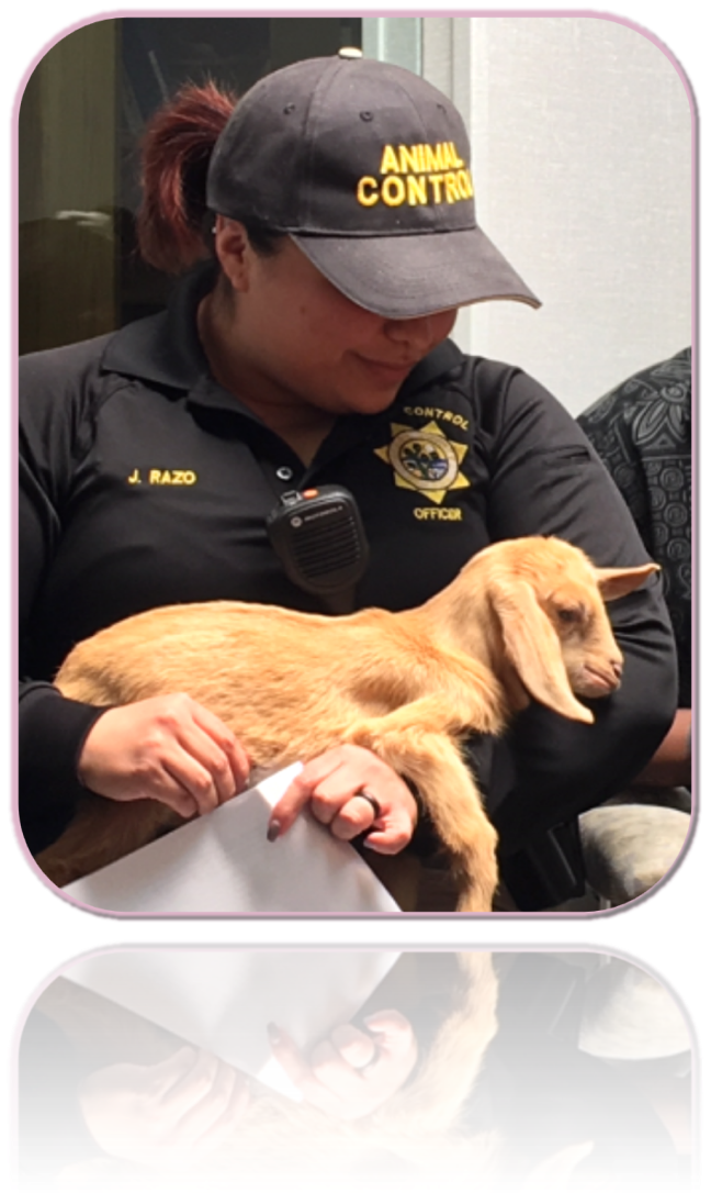 Officer with Lamb